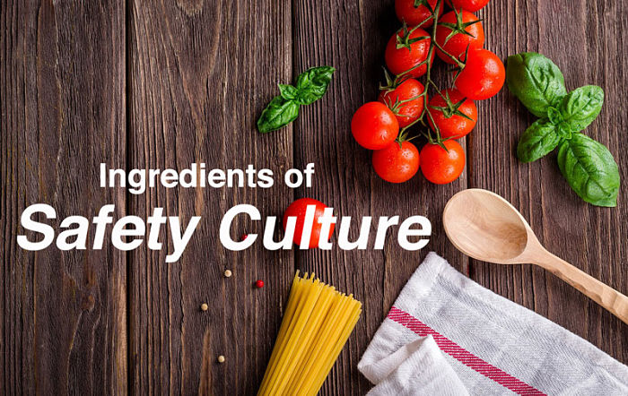 safety-culture-ingredients_opt